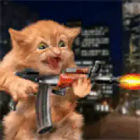 Crazy cat with gun