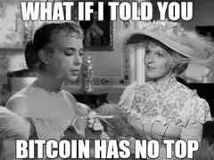 What If I Told You Bitcoin Has No Top