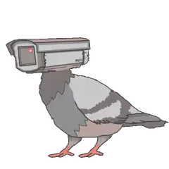Pigeon with security camera head
