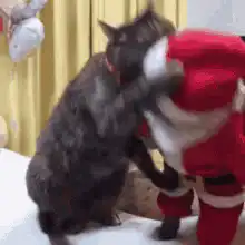 cat slaps santa cat