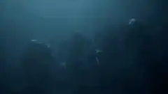 Scuba divers swimming underwater in dark blue water