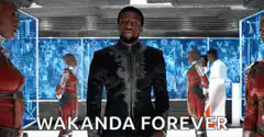 T'Challa Wakanda Forever
