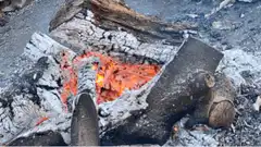 Campfire burning logs