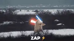 Polar bear lightsaber fight zap