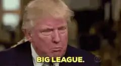 Donald Trump Big League