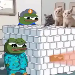 Pepe builds a brick wall