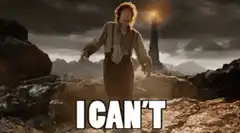 Frodo collapses saying I can't