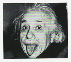 Albert Einstein Rebooting to Zsa Zsa