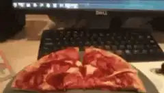 cat steals pizza slice