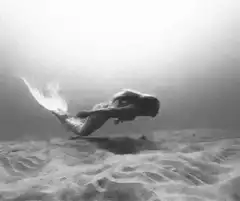 Mermaid swimming underwater