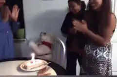 Dog celebrating birthday with cake