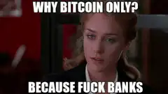 Why Bitcoin Only Because Fuck Banks