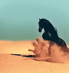 Black horse rearing in desert