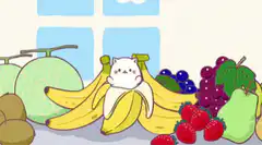 Cute cat in banana peel