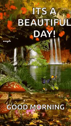 Good Morning Beautiful Day Nature
