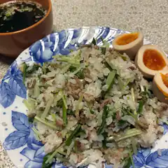 Japanese rice with meat and greens