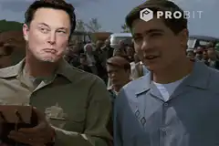 Elon Musk launches Bitcoin price