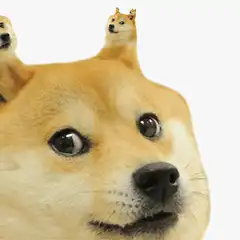 Doge with tiny doges on ears
