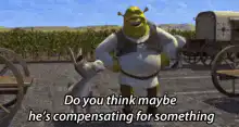 Shrek Do You Think Maybe He's Compensating