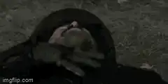 Dwight Schrute lying down then sitting up