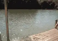 Man jumps into lake through glass wall