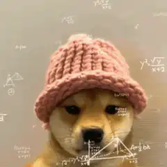 Shiba Inu thinking with math equations
