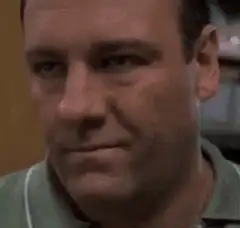 Tony Soprano skeptical look