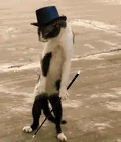 Cat in top hat and tails dancing