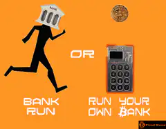Bank Run or Run Your Own Bank