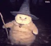 Wizard Cat with Magic Wand