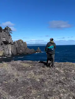 person and dog overlooking ocean cliffs