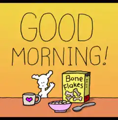 Good Morning Bone Flakes