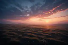 sunset over rippled grassy field