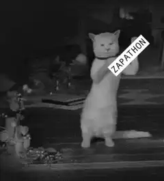Cat standing with ZAPATHON text