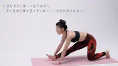 Woman doing yoga lunge stretch
