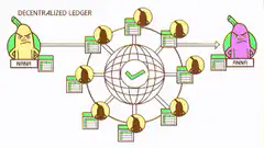 Ninja and Finnar decentralized ledger animation