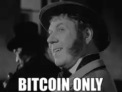 Bitcoin Only Man Smirking
