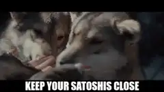 Keep Your Satoshis Close