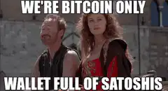 We're Bitcoin Only Wallet Full of Satoshis