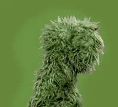 Oscar the Grouch head bobbing