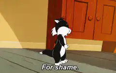 Tuxedo Cat For Shame