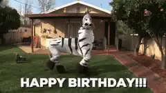 Person in zebra costume dancing
