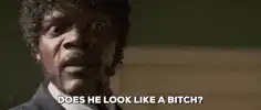 Samuel L Jackson Does He Look Like A Bitch
