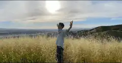 Man raising arms in a field