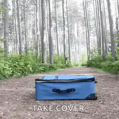 dog takes cover in suitcase