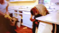 Man smashing kitchen cabinets with a bat