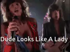 Dude Looks Like A Lady