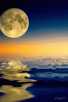 Moonlit ocean waves
