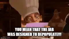 Chef Gusteau Realization