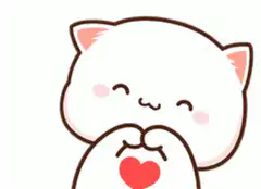 cute white cat heart hands